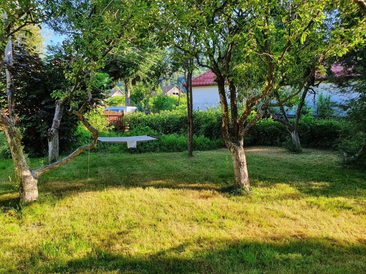 Pension Agnes Vişeu de Sus Exterior foto