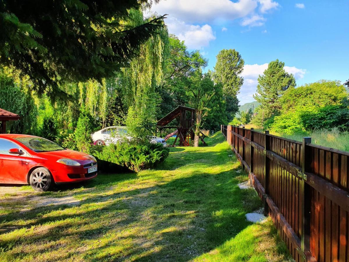 Pension Agnes Vişeu de Sus Exterior foto