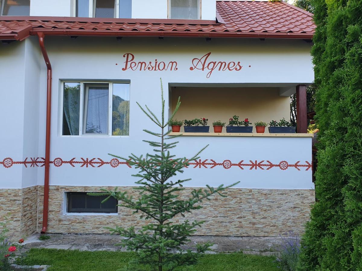 Pension Agnes Vişeu de Sus Exterior foto