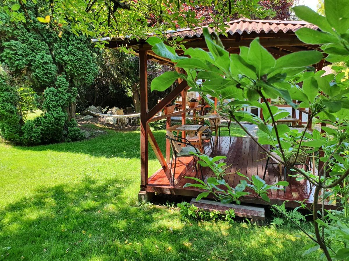 Pension Agnes Vişeu de Sus Exterior foto