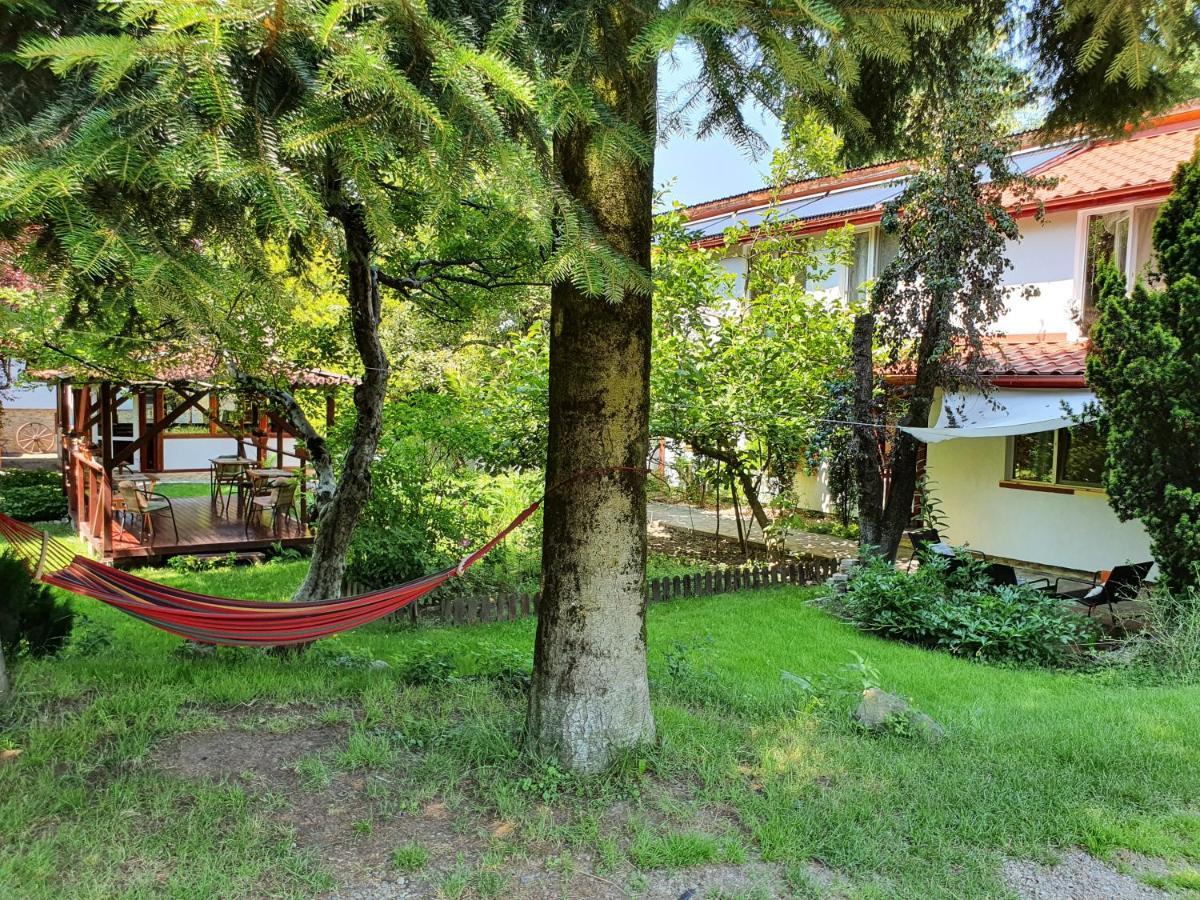 Pension Agnes Vişeu de Sus Exterior foto